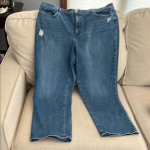 LOFT Women's Straight Leg Blue Jeans